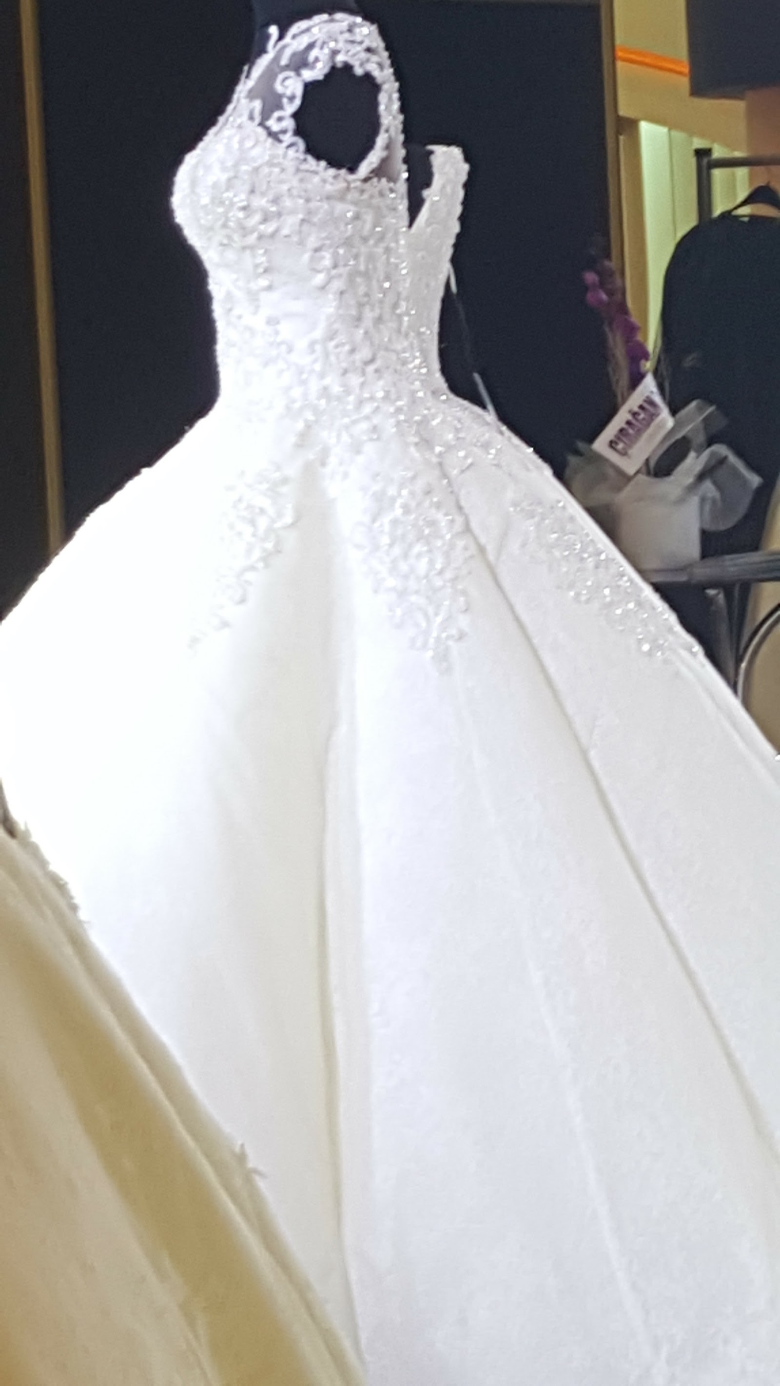 Roza modaevi