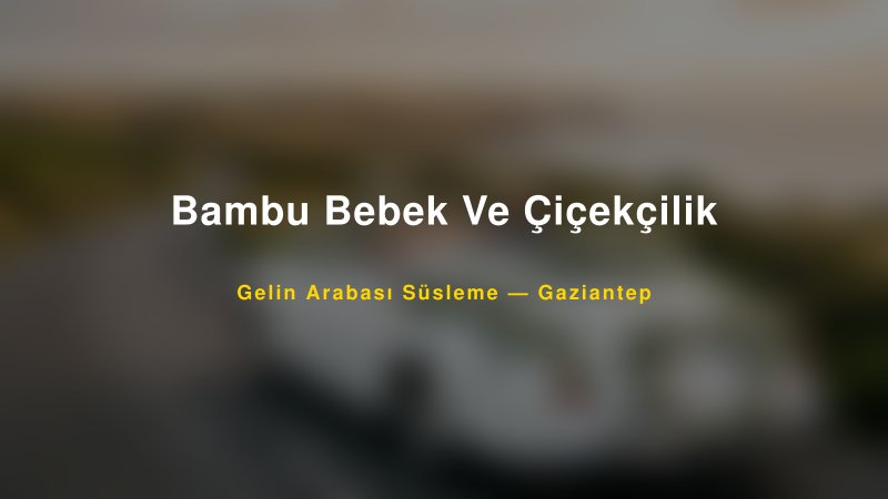 Bambu Bebek Ve Çiçekçilik ile Trend Gelin Arabası Yazıları ve Konseptleri — 1